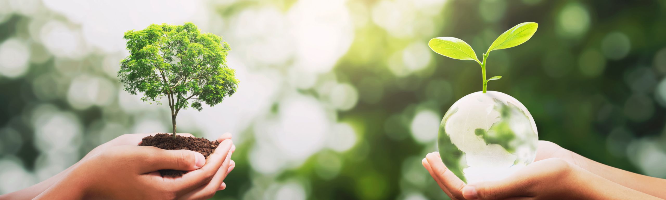 ファーストビュー